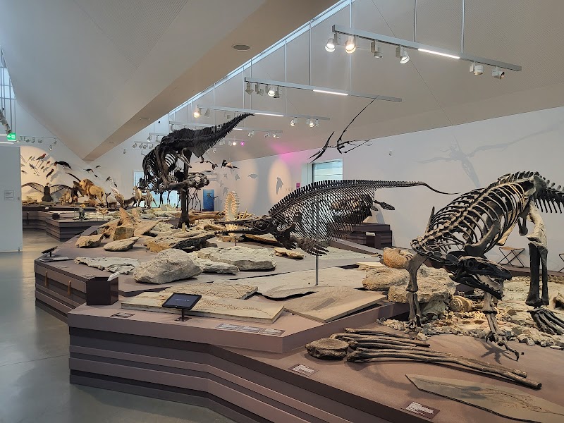 Explore the NATUR Museum Rheintal - St. Gallen - Switzerland - booked ai
