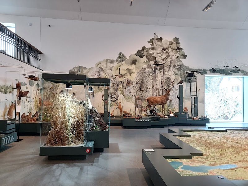 Explore the NATUR Museum Rheintal - St. Gallen - Switzerland - booked ai