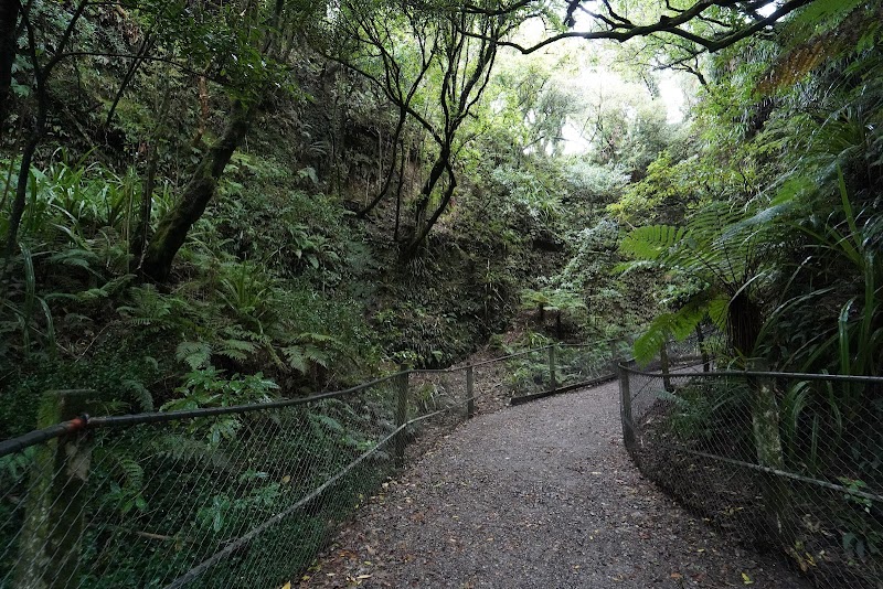 Glow Worm Dell - Hokitika - New Zealand - booked ai
