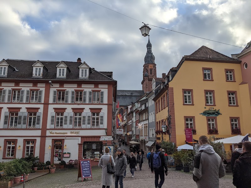 Explore the Old Town Altstadt and Marktplatz - Heidelberg - Germany - booked ai