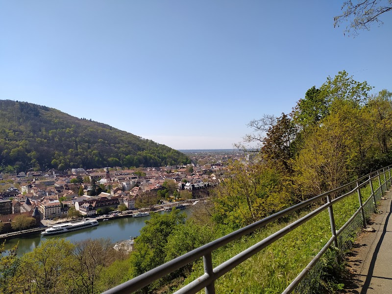 Stroll along the Philosophers Walk Philosophenweg - Heidelberg - Germany - booked ai