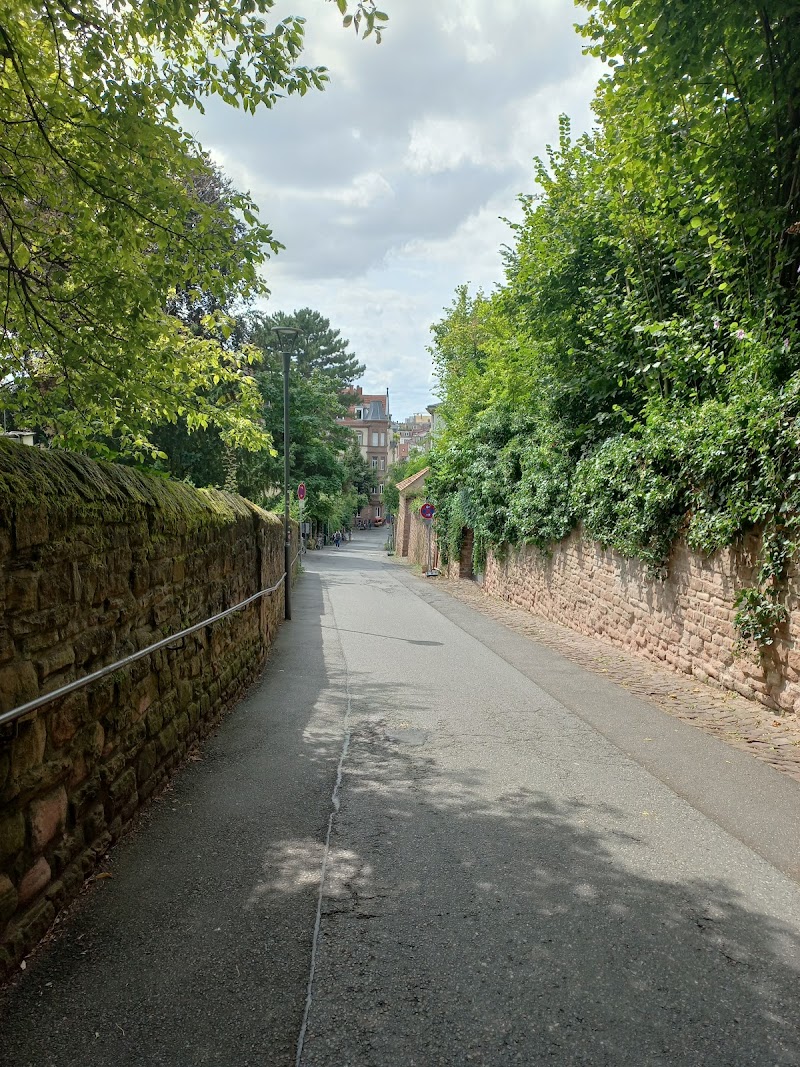 Stroll along the Philosophers Walk Philosophenweg - Heidelberg - Germany - booked ai