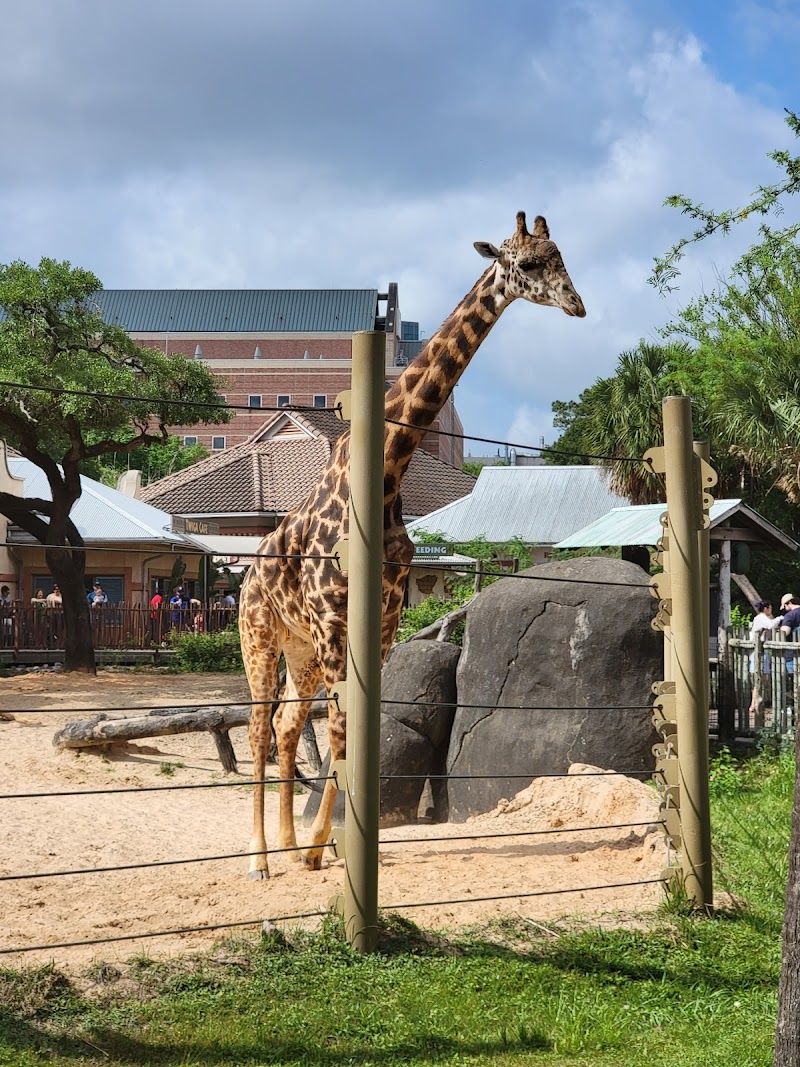 Houston Zoo - Houston - United States - booked ai