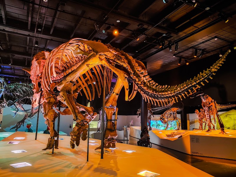 Houston Museum of Natural Science - Houston - United States - booked ai