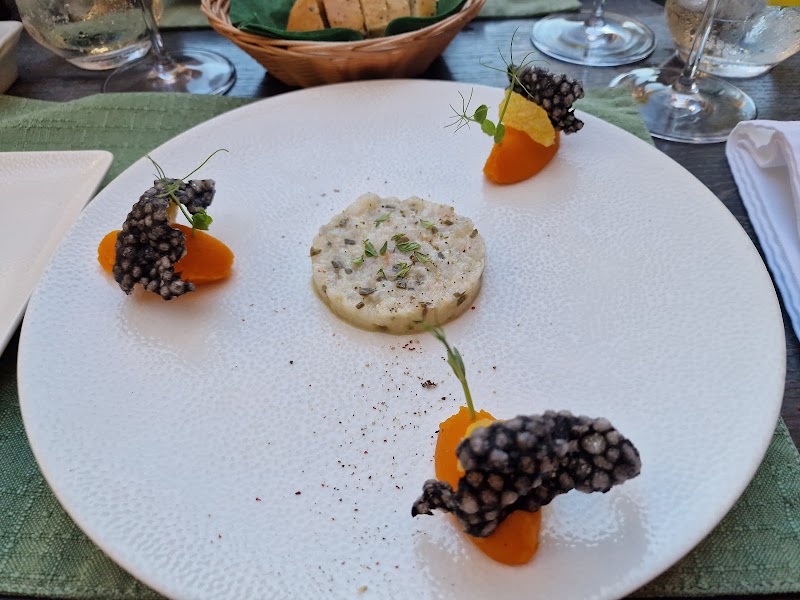 Dalmatino - Hvar - Croatia - booked ai