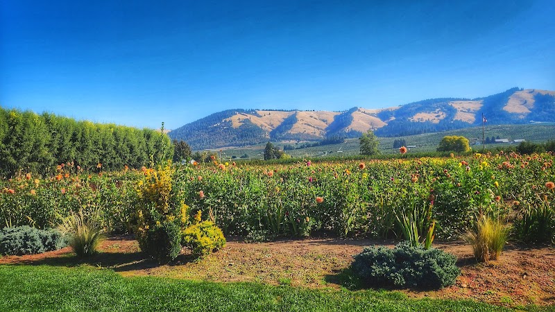 Exploring the Fruit Loop Local Orchards and Wineries - Hood River - United States - booked ai