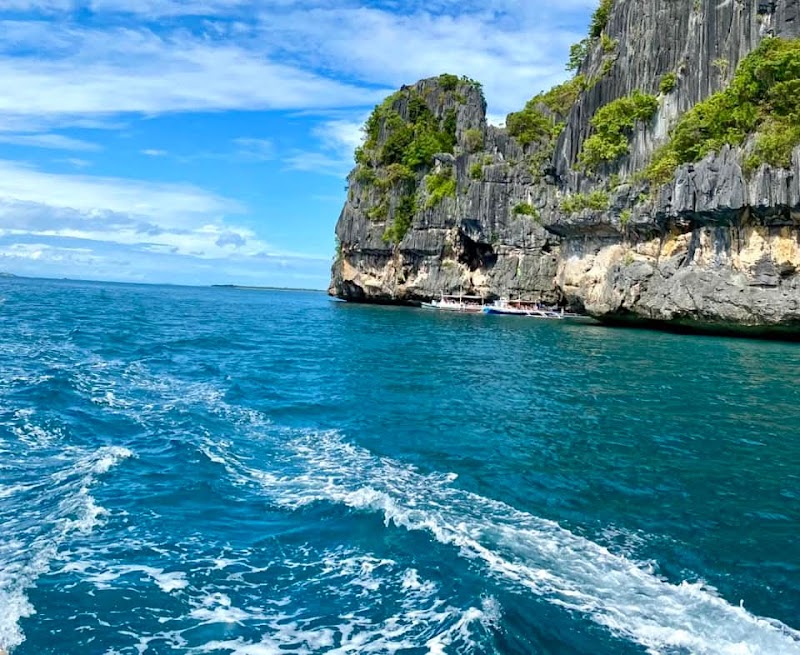Take a day trip to the Gigantes Islands - Carles - Philippines - booked ai