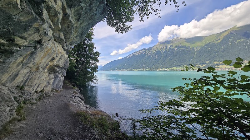Lake Brienz Boat Cruise - Interlaken - Switzerland - booked ai
