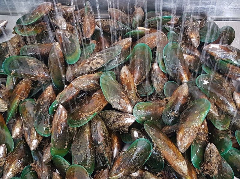 Cods and Crayfish - Kaikōura - New Zealand - booked ai