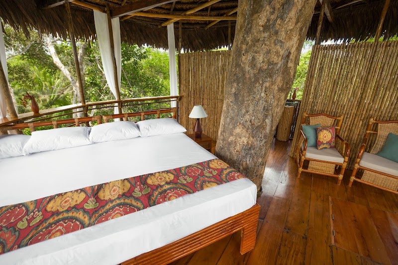 Amazon Rainforest Lodge - Iquitos - Peru - booked ai