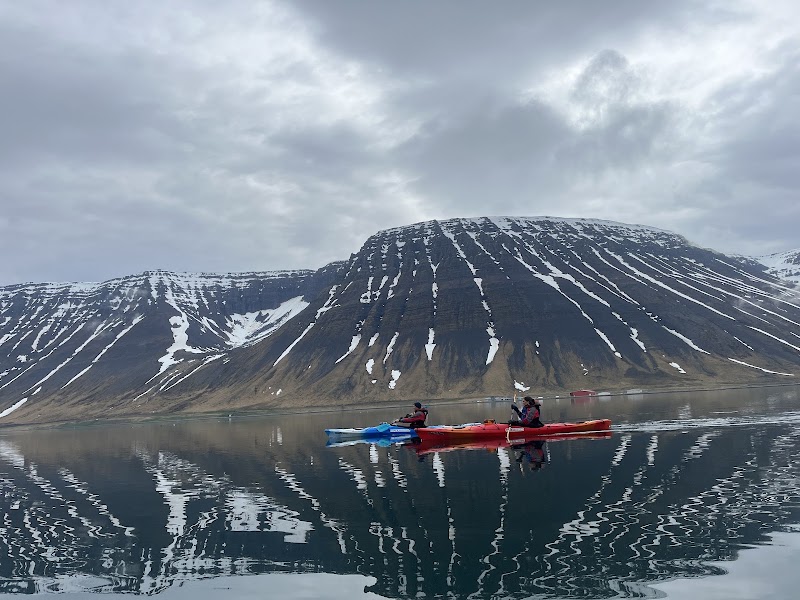 Take a Kayaking Tour in the Ísafjörður Bay - Ísafjörður - Iceland - booked ai