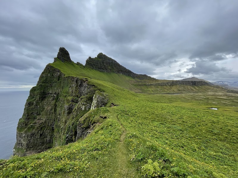 Take a Kayaking Tour in the Ísafjörður Bay - Ísafjörður - Iceland - booked ai
