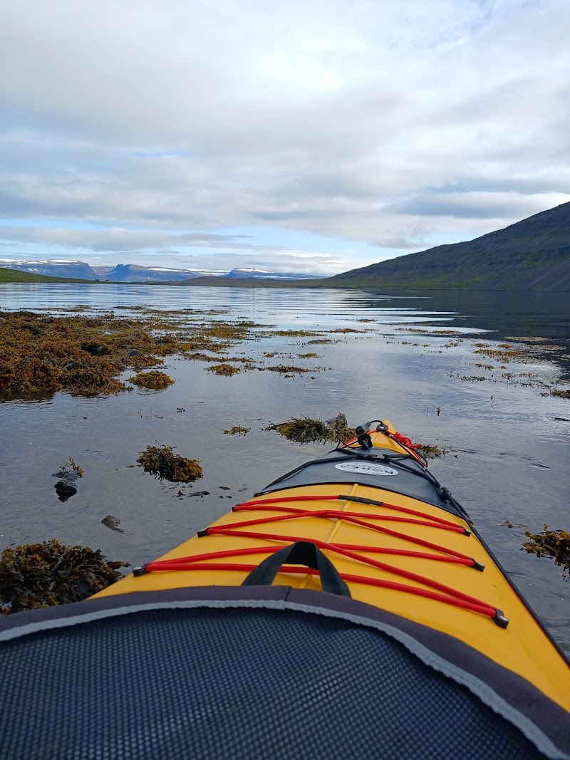 Take a Kayaking Tour in the Ísafjörður Bay - Ísafjörður - Iceland - booked ai