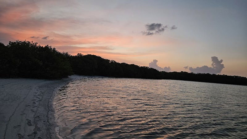 Watching Bioluminescence at Night - Holbox - Mexico - booked ai