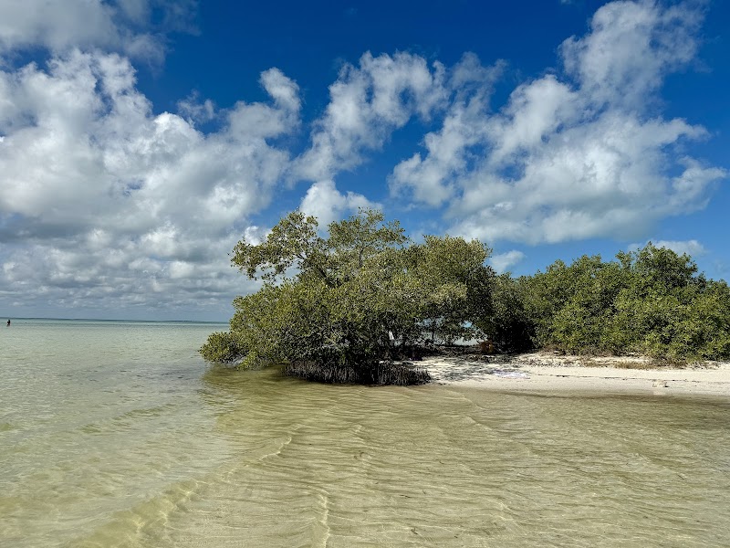 Watching Bioluminescence at Night - Holbox - Mexico - booked ai