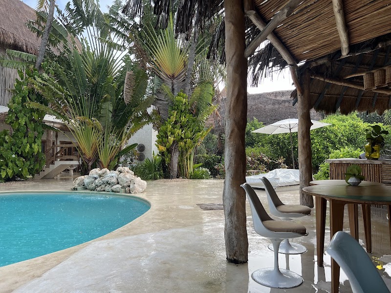 Ser Casasandra - Holbox - Mexico - booked ai
