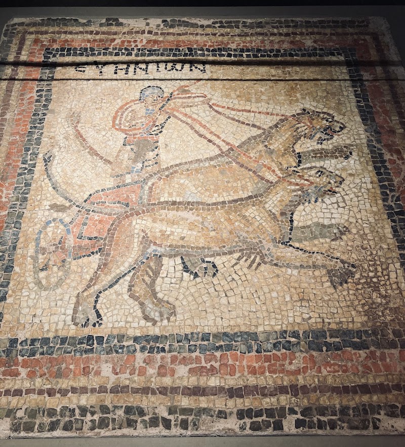 Visit the Archaeological Museum of Messenia - Kalamata - Greece - booked ai