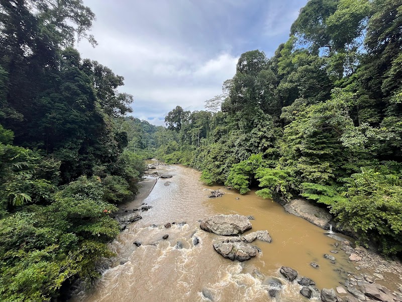 Explore Danum Valley Conservation Area - Lahad Datu - Malaysia - booked ai