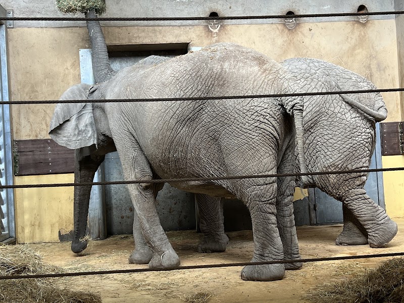 Aalborg Zoo - Aalborg - Denmark - booked ai