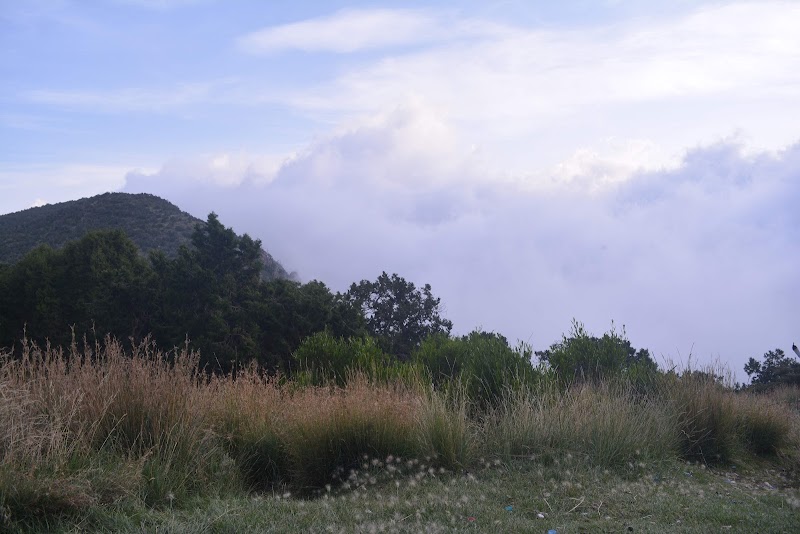 Visit Al-Soudah Park - Asir - Saudi Arabia - booked ai