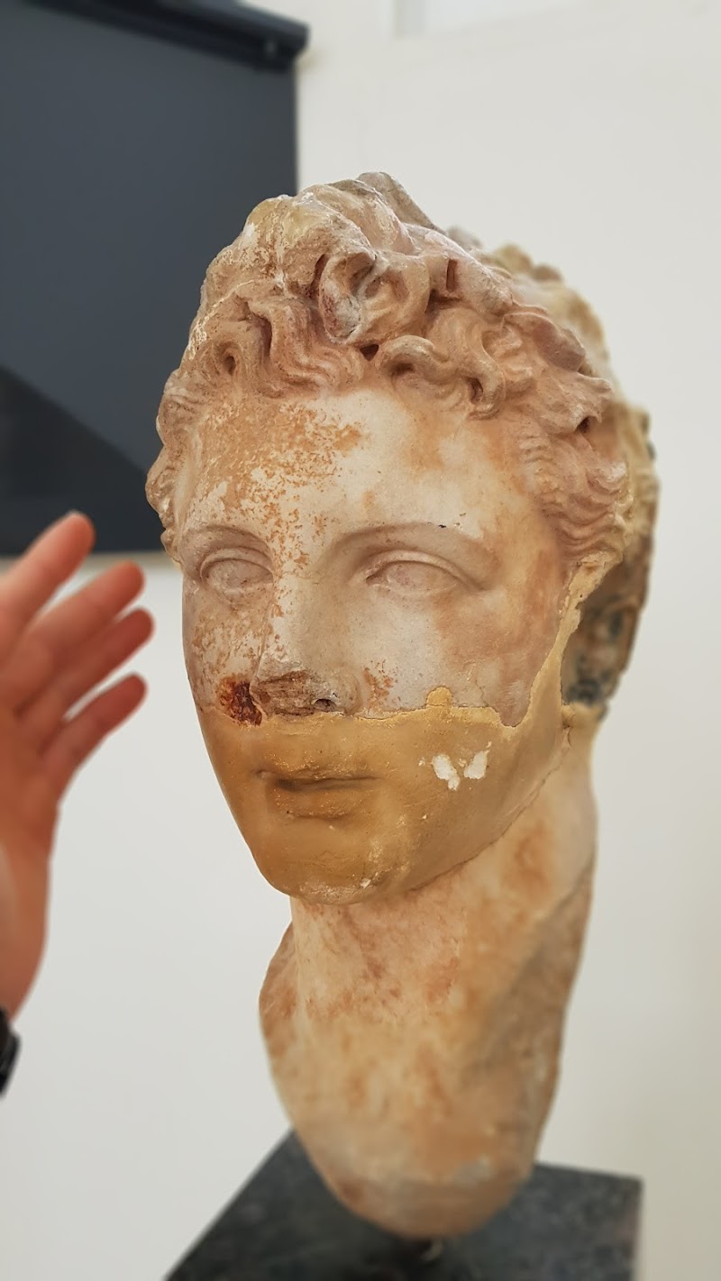 Visit the Archaeological Museum of Agrinio - Agrinio - Greece - booked ai