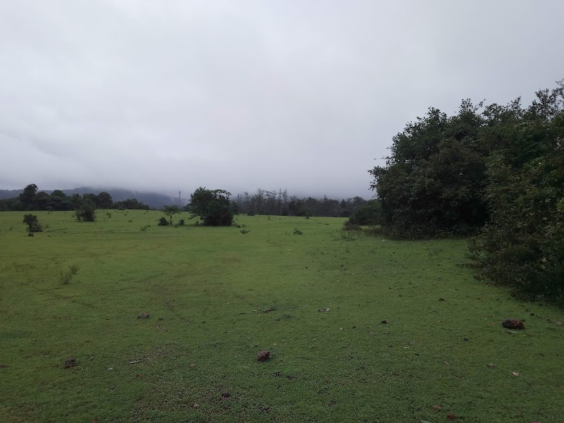 Visit the Agumbe Rainforest Research Station - Agumbe - India - booked ai