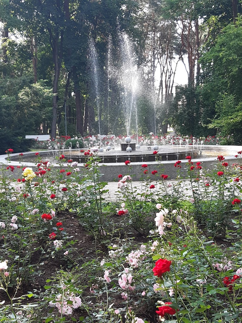 Alytus City Park and Observation Tower - Alytus - Lithuania - booked ai
