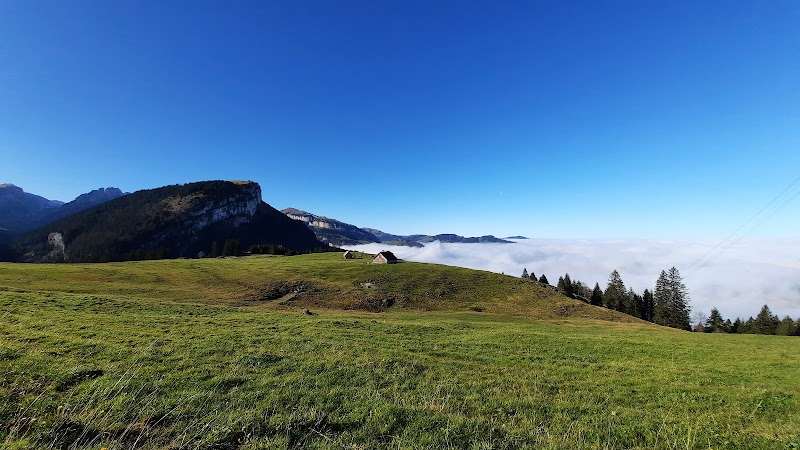 Hiking in the Alpstein Mountains - Hundwil - Switzerland - booked ai