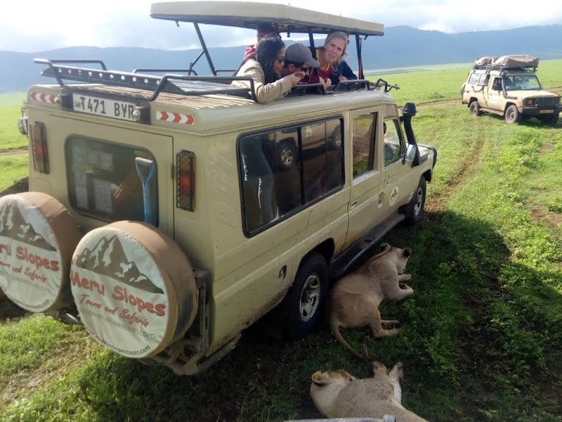 Safari in Serengeti National Park - Arusha - Tanzania - booked ai