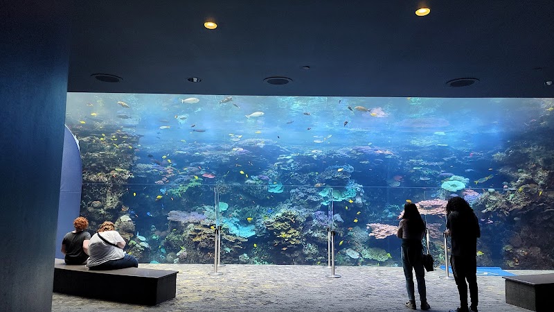 Georgia Aquarium - Atlanta - United States - booked ai