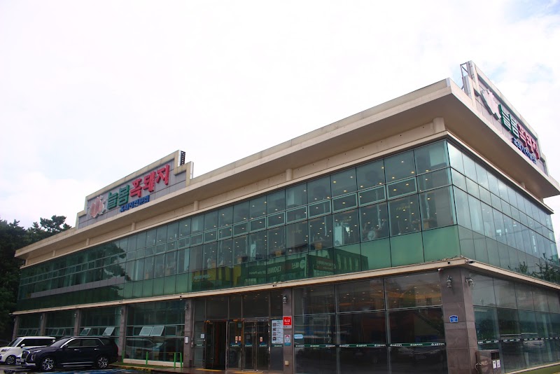 Neulbom Heukdwaeji - Jeju - South Korea - booked ai