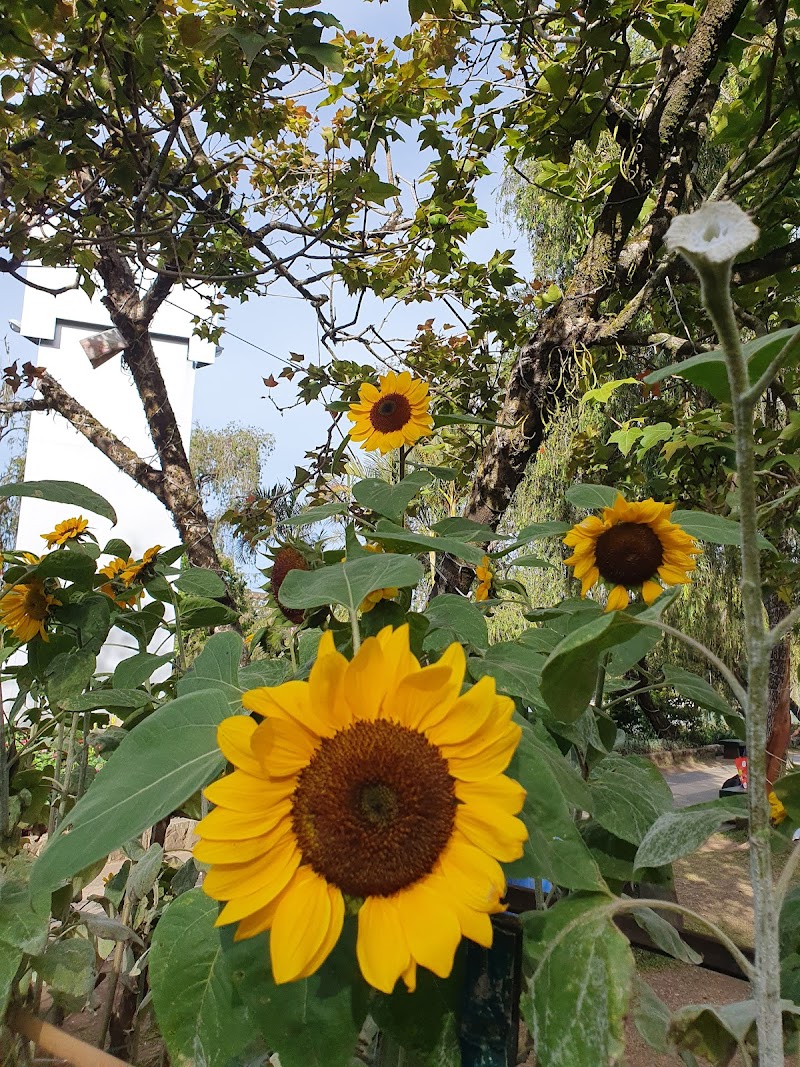 Visit Burnham Park - Baguio - Philippines - booked ai