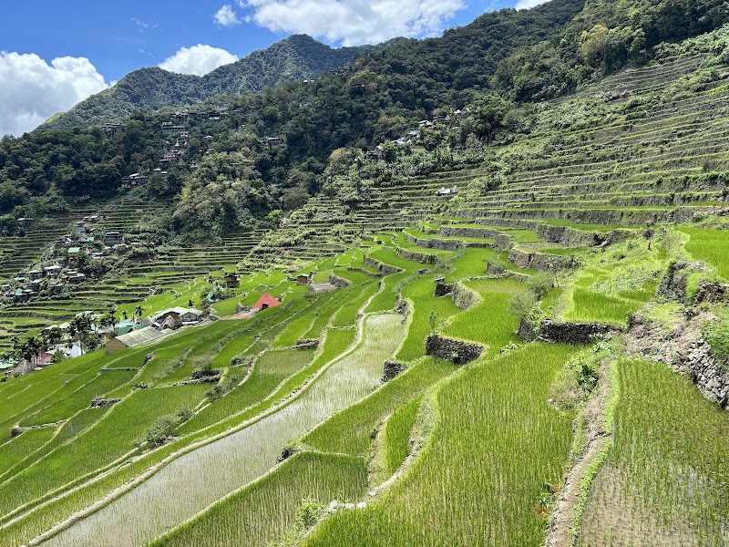 Hiking the Batad Rice Terraces - Banaue - Philippines - booked ai