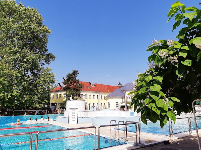 Békéscsaba Thermal Bath - Békéscsaba - Hungary - booked ai