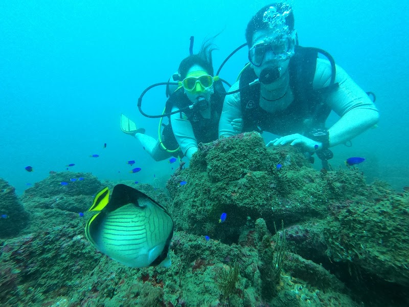 Secret Island - Beruwala - Sri Lanka - booked ai