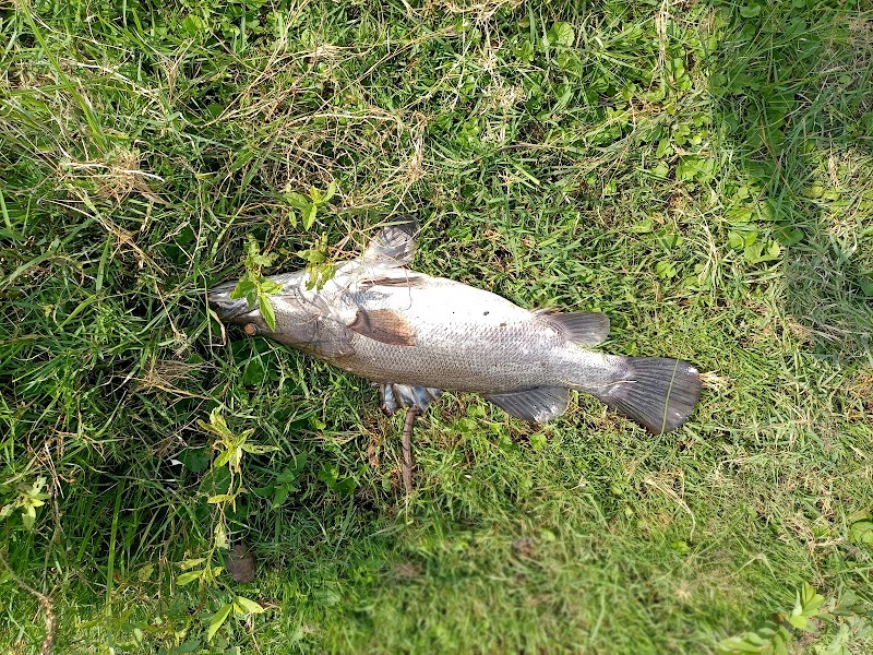 Take a boat ride on Lake Victoria - Entebbe - Uganda - booked ai