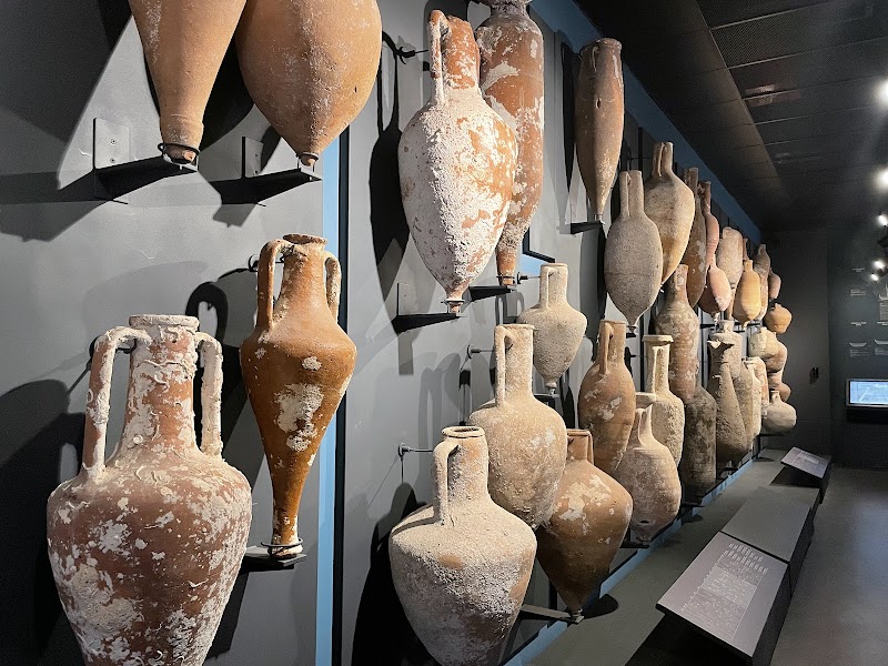 Visit Bodrum Castle and the Museum of Underwater Archaeology - Bodrum - Türkiye - booked ai