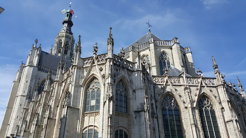 Visit Grote Kerk (Church of Our Lady) - Breda - Netherlands - booked ai