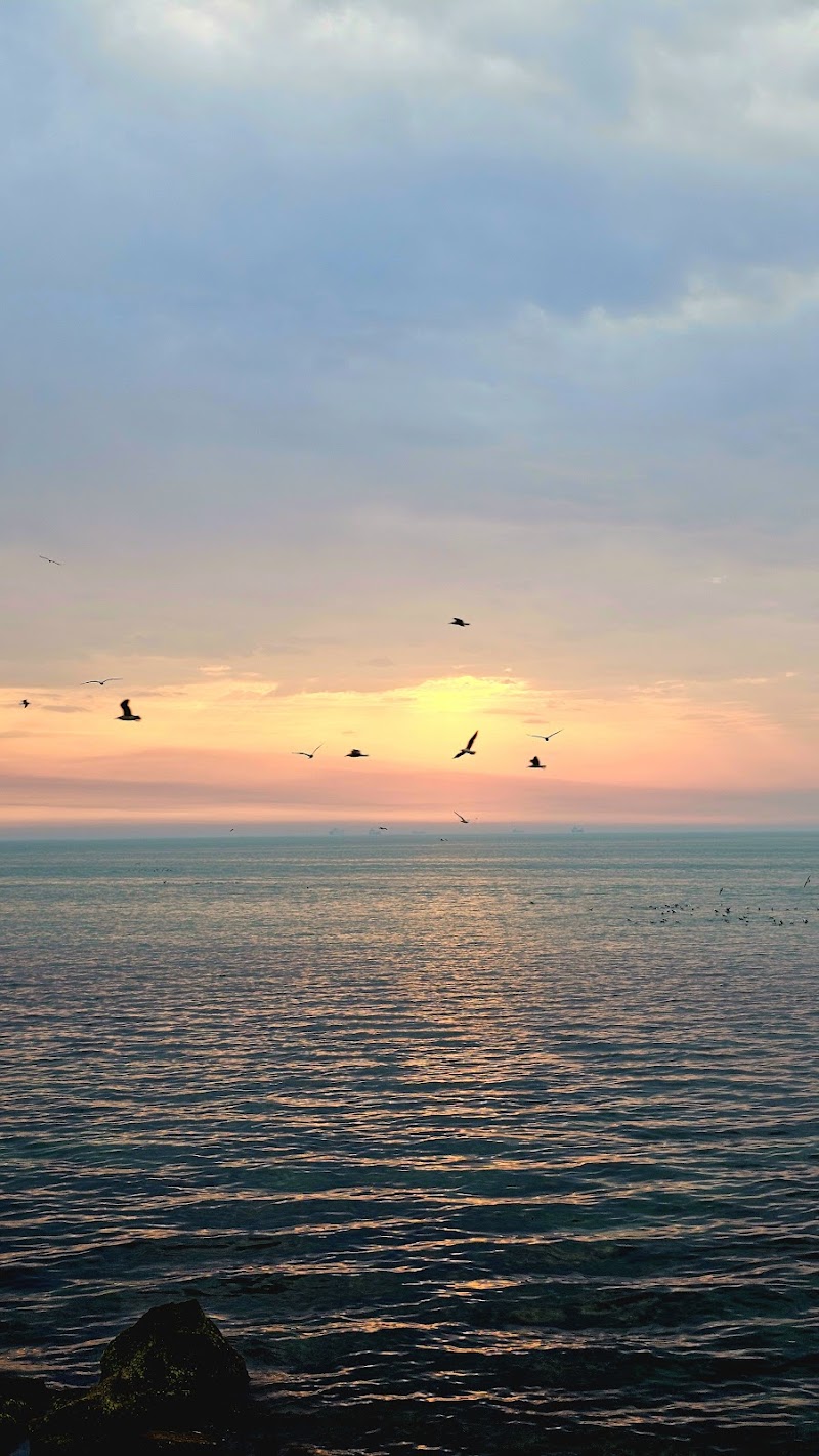 Visit the Historic Port of Bushehr - Bushehr - Iran - booked ai