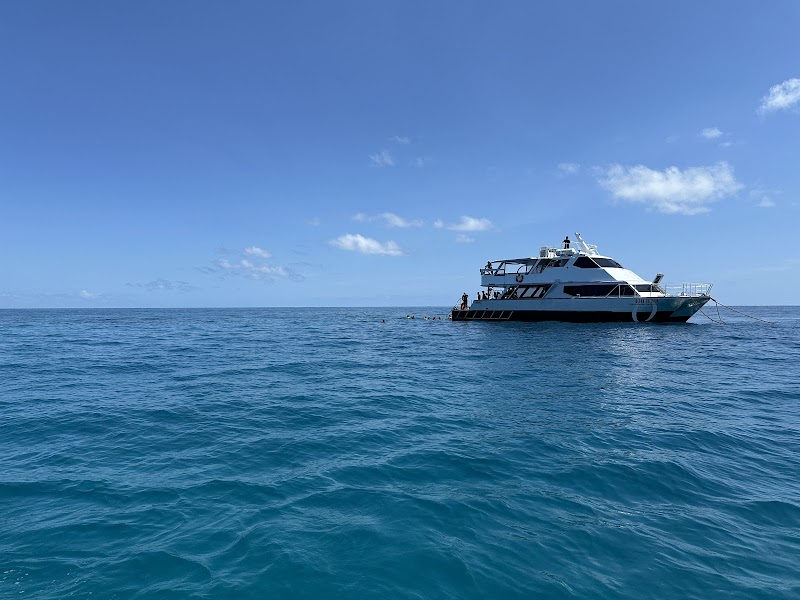 Great Barrier Reef Snorkeling and Diving - Cairns City - Australia - booked ai