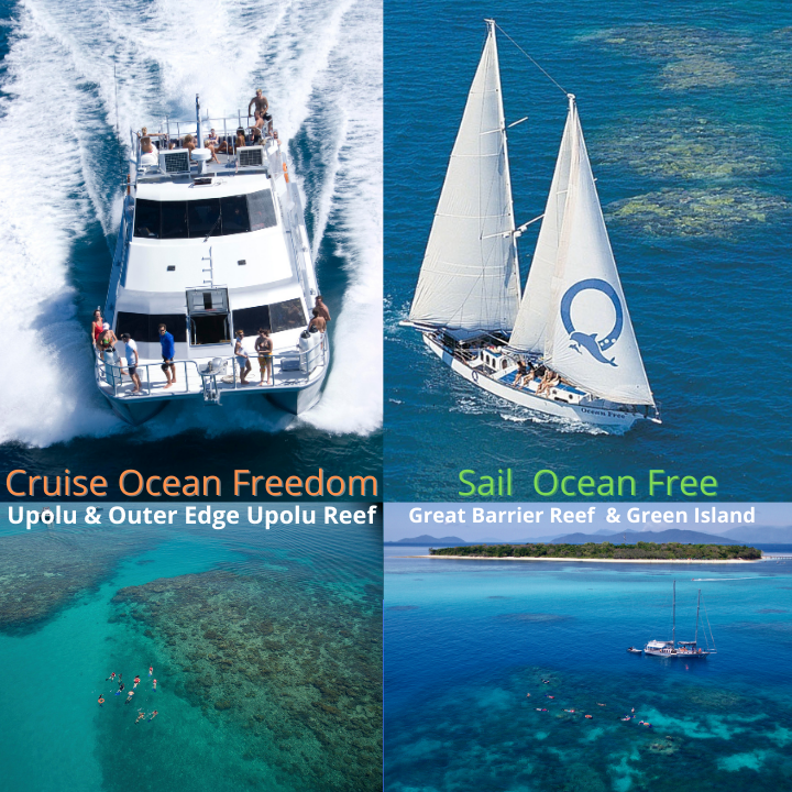 Great Barrier Reef Snorkeling and Diving - Cairns City - Australia - booked ai