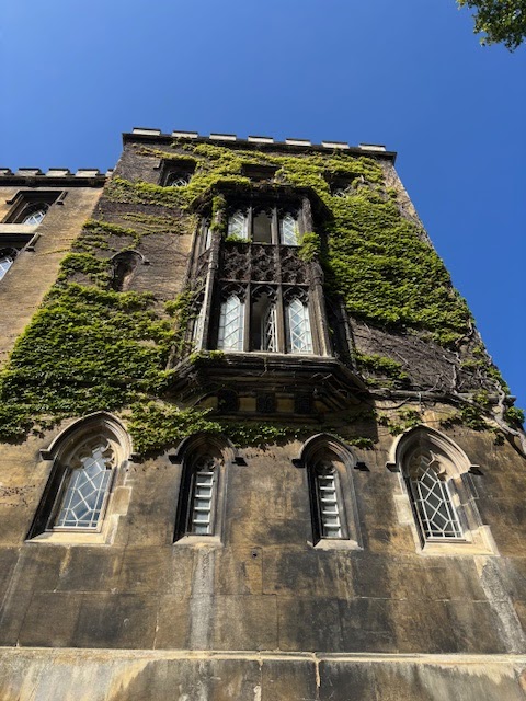 Punting on the River Cam - Cambridge - United Kingdom - booked ai