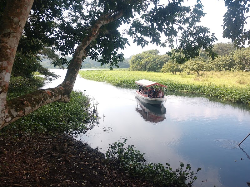 Boat Tour on Lake Catemaco - Catemaco - Mexico - booked ai