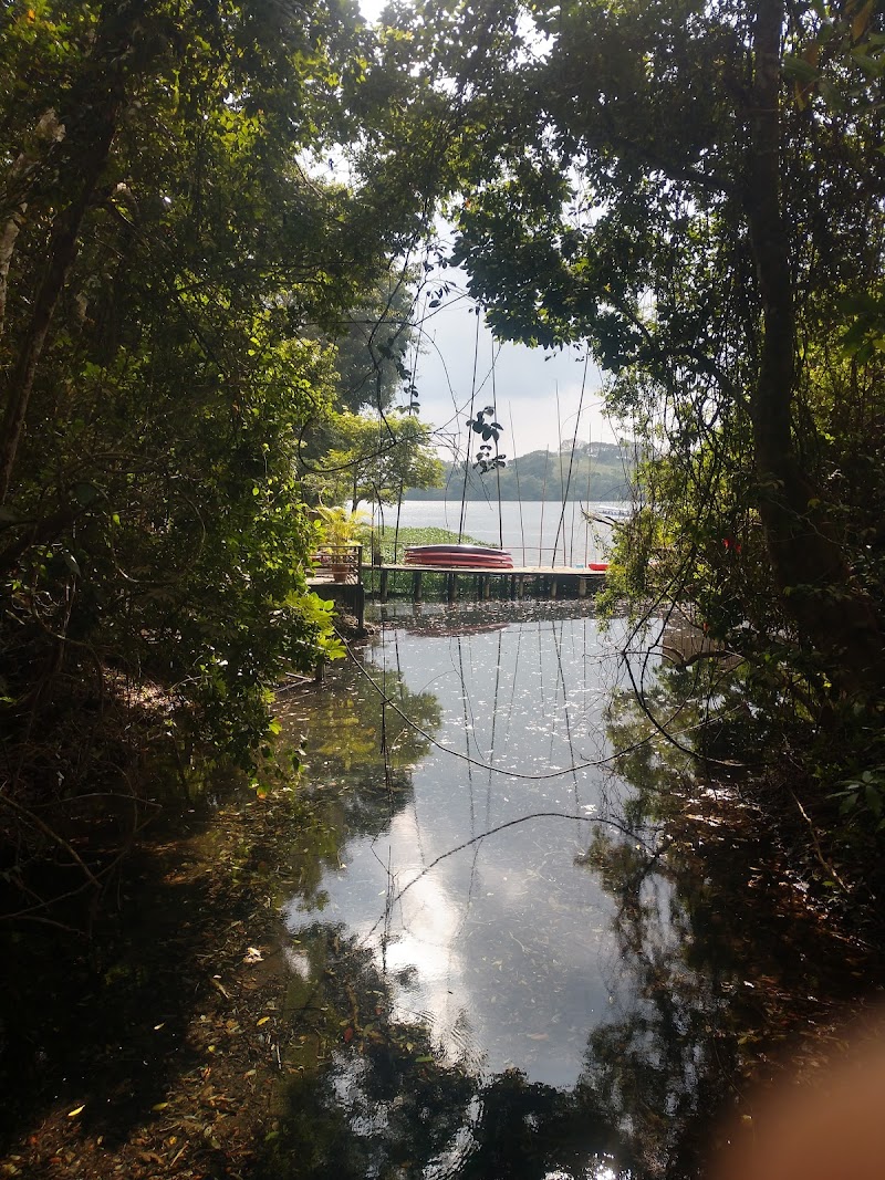 Boat Tour on Lake Catemaco - Catemaco - Mexico - booked ai