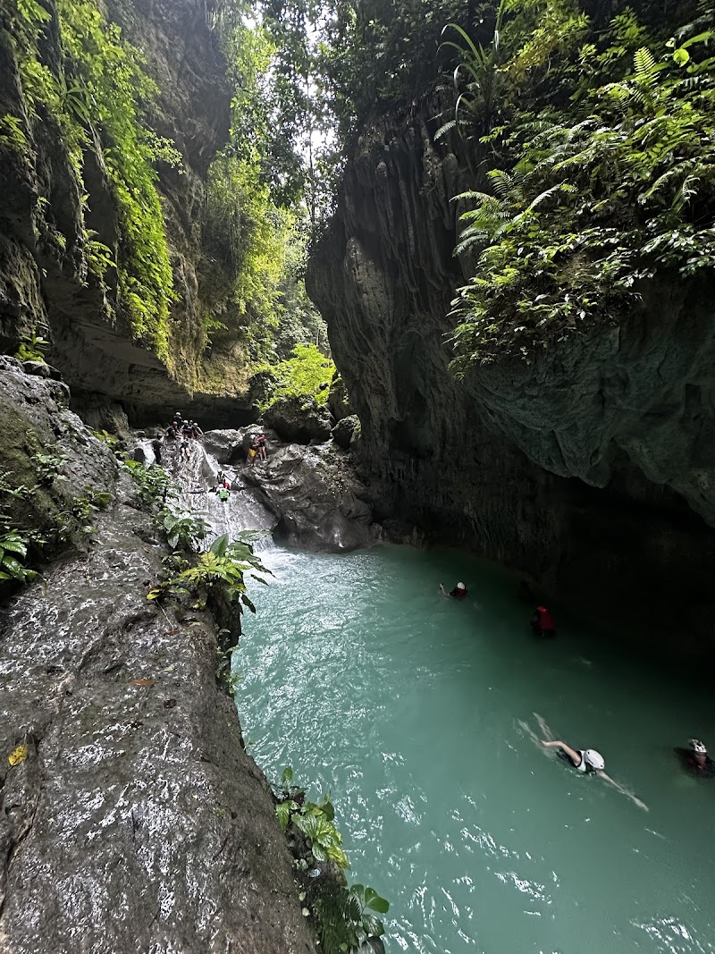 Visit Kawasan Falls and Canyoneering Adventure - Badian - Philippines - booked ai