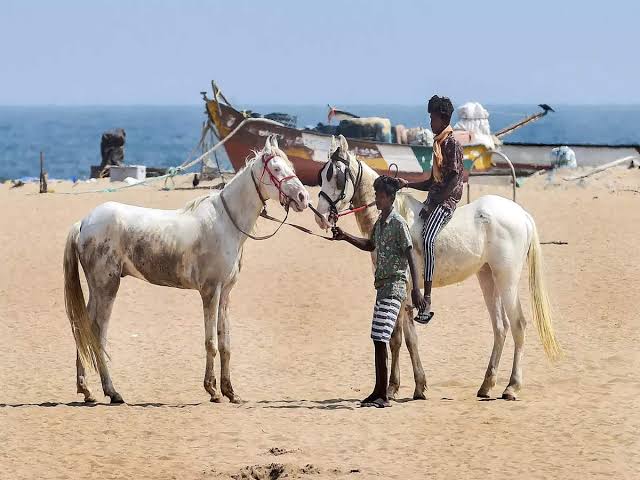 Marina Beach - Chennai - India - booked ai