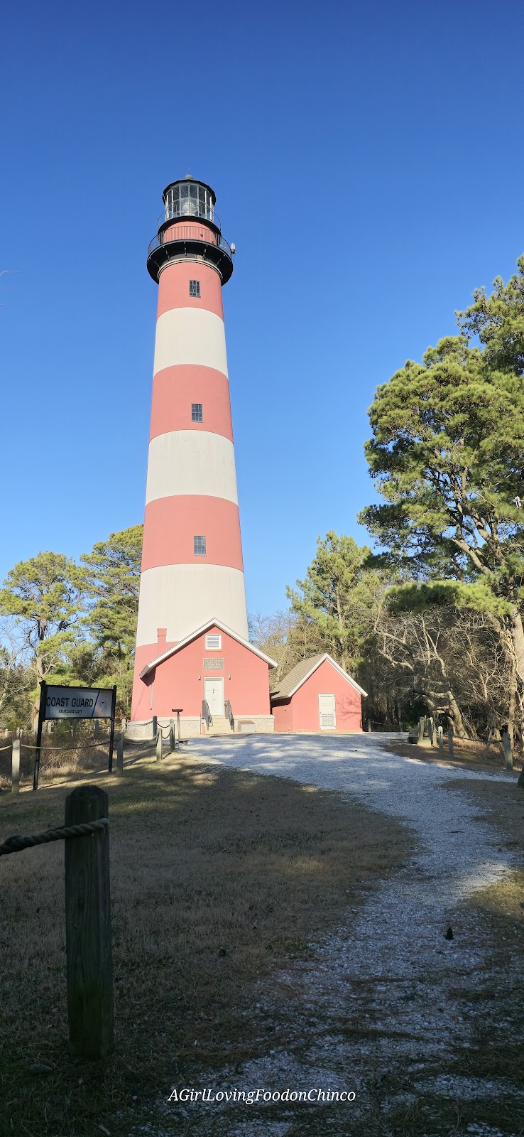 Chincoteague National Wildlife Refuge - Chincoteague - United States - booked ai