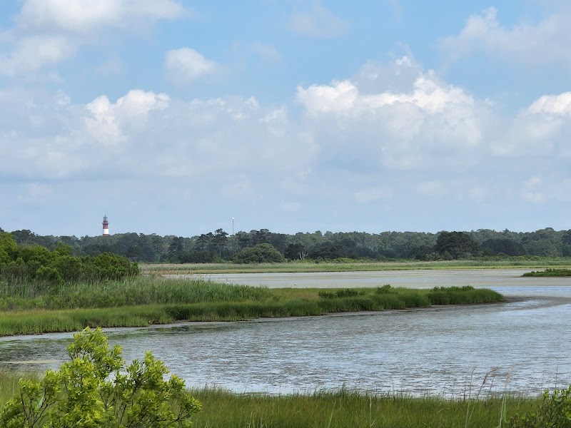 Chincoteague National Wildlife Refuge - Chincoteague - United States - booked ai