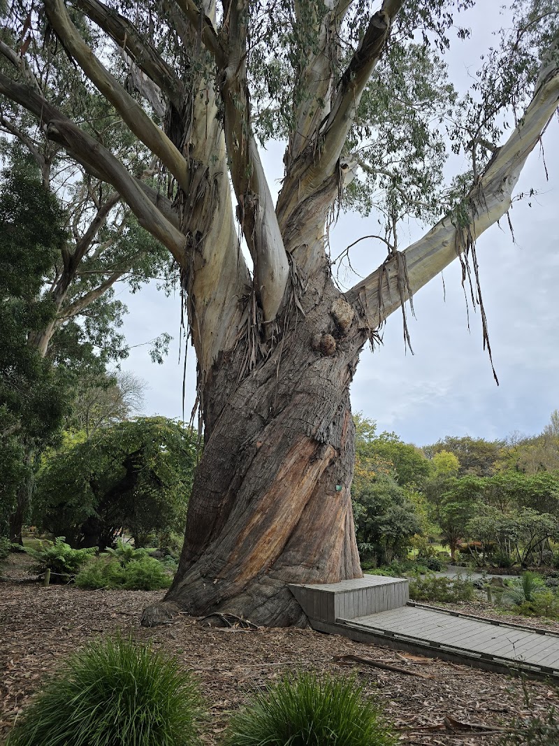 Christchurch Botanic Gardens - Christchurch - New Zealand - booked ai