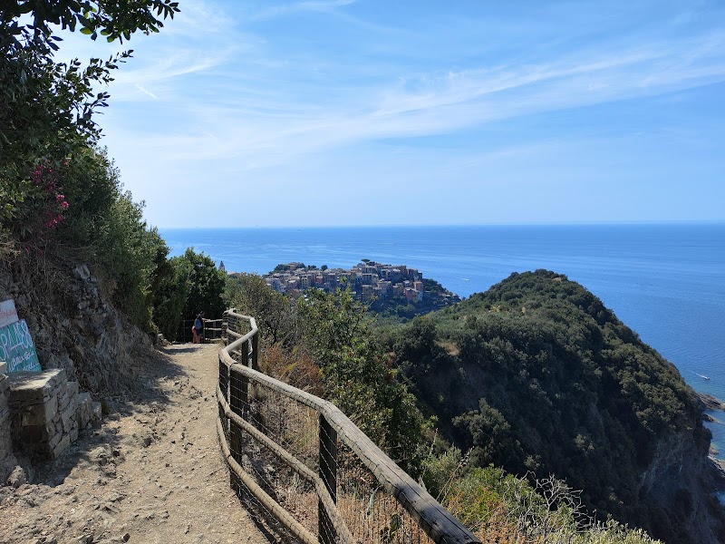 Hiking the Sentiero Azzurro (Blue Trail) - Vernazza - Italy - booked ai